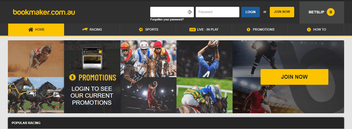 bookmaker betting site